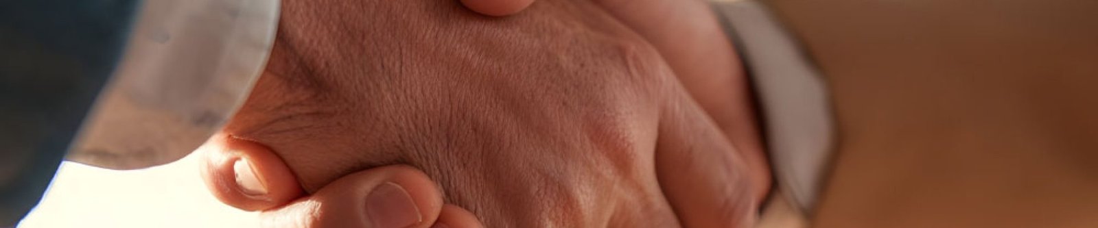 Seg-empresariales_socios